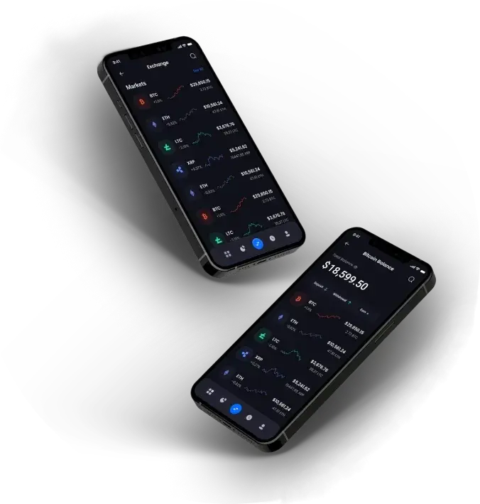CrownixFin - Tap into the unmatched capabilities of CrownixFin